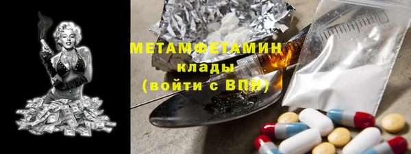 индика Новозыбков