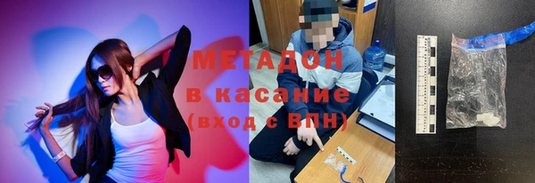 индика Новозыбков