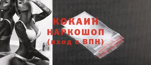 индика Новозыбков