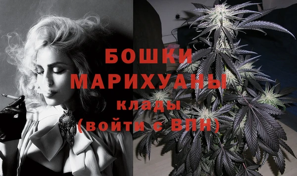 индика Новозыбков