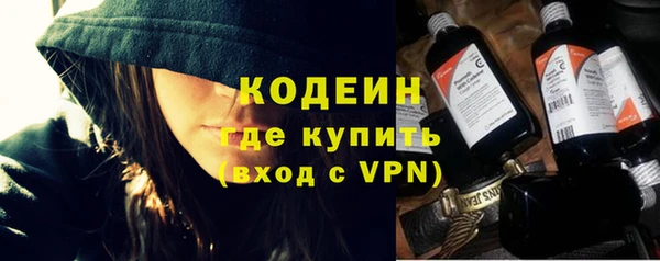 индика Новозыбков