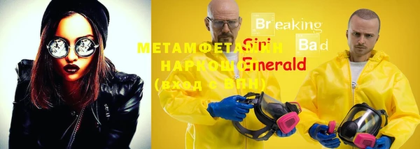 индика Новозыбков