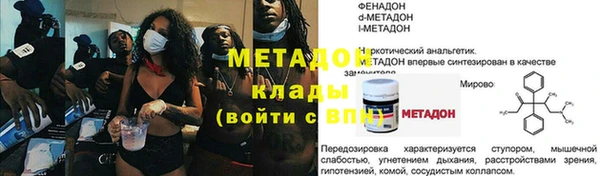 индика Новозыбков