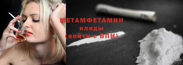 индика Новозыбков