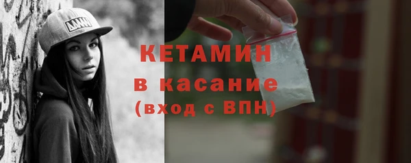 индика Новозыбков