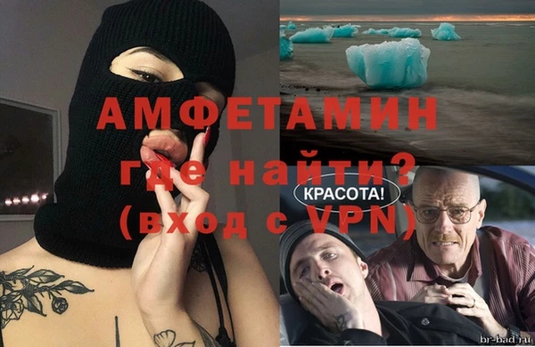 индика Новозыбков