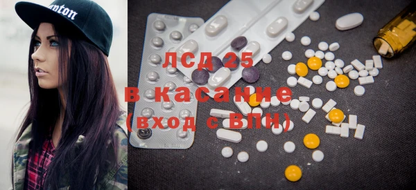 индика Новозыбков