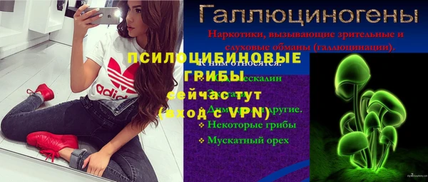 гашик Новодвинск