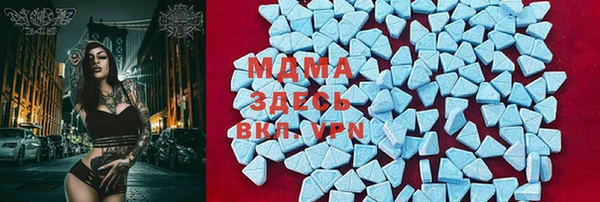гашик Новодвинск