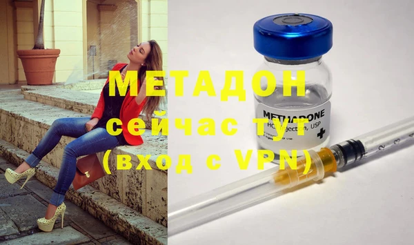 индика Новозыбков