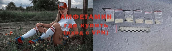 индика Новозыбков