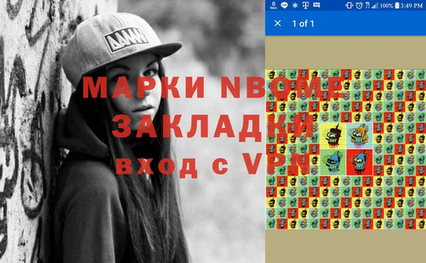 индика Новозыбков