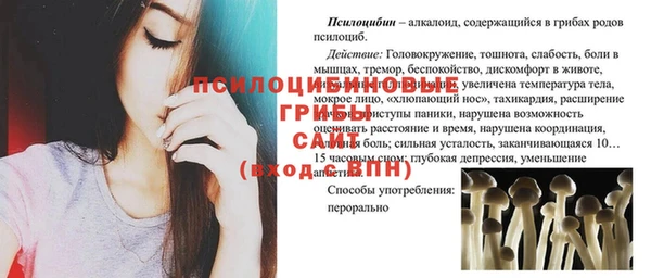 гашик Новодвинск