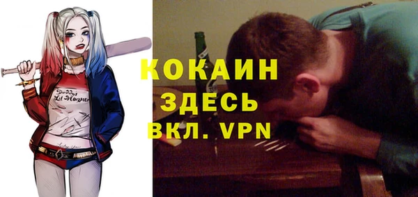 гашик Новодвинск